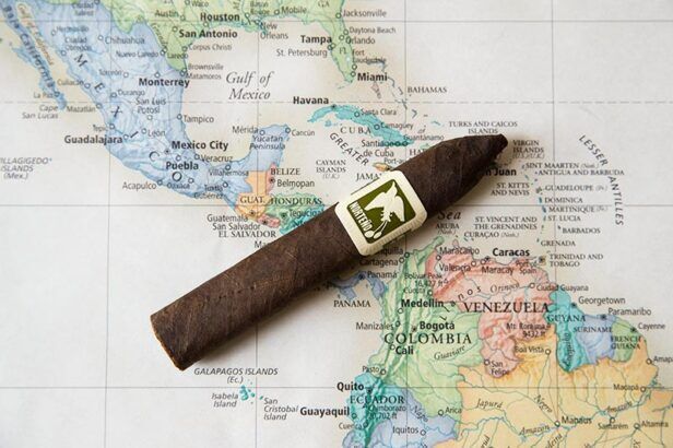 cigar shapes sizes guide