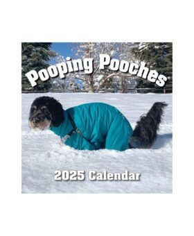 Calendar cover showing a dog in a teal coat squatting in snow, titled Pooping Pooches