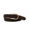 Dark brown suede dress belt with gold double D-ring buckle, coiled flat lay